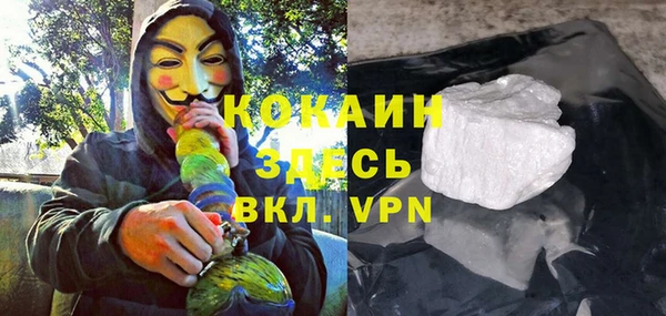 гашик Алексеевка