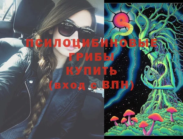 СК Пестово