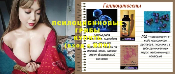 прущие крисы Пересвет