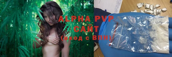 индика Аркадак